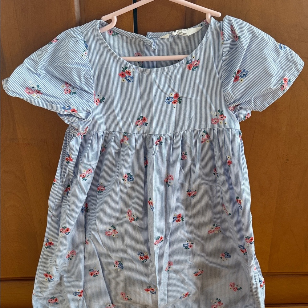 H&M Light Blue Striped Dress with Pink Floral Print